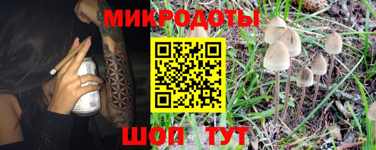 Псилоцибиновые грибы MAGIC MUSHROOMS Октябрьский
