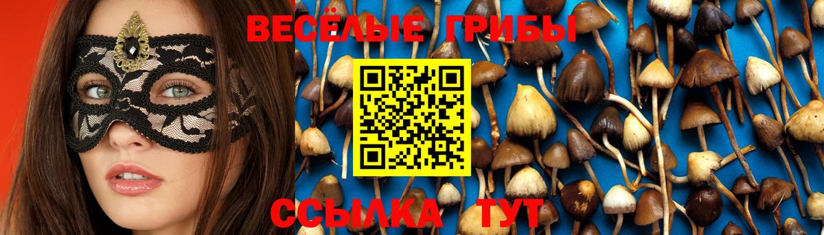 Октябрьский  Галлюциногенные грибы мицелий  Вход с VPN 